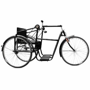 Handicapped Tricycle